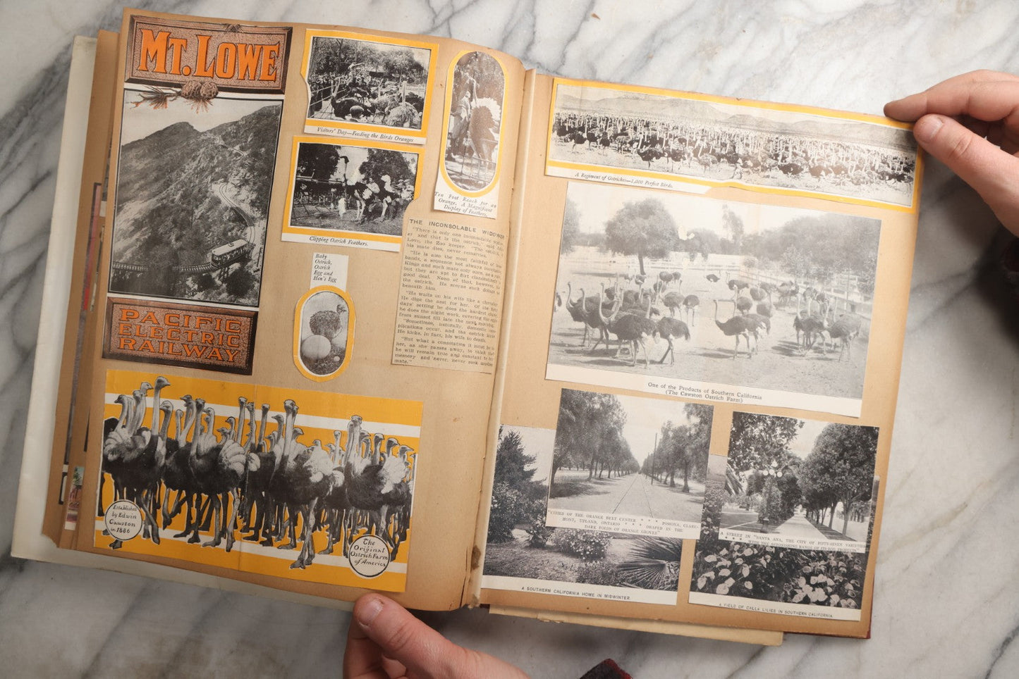Lot 087 - Antique "The Nonpareil" Scrapbook Album With New Orleans, California, Arizona Ephemera, Pressed Flowers, 1914 Raja-Yoga Messenger Magazine, Patent March 1876, Heavy Water Staining, Warped Boards, Brittle Binding And Pages, Circa 1914
