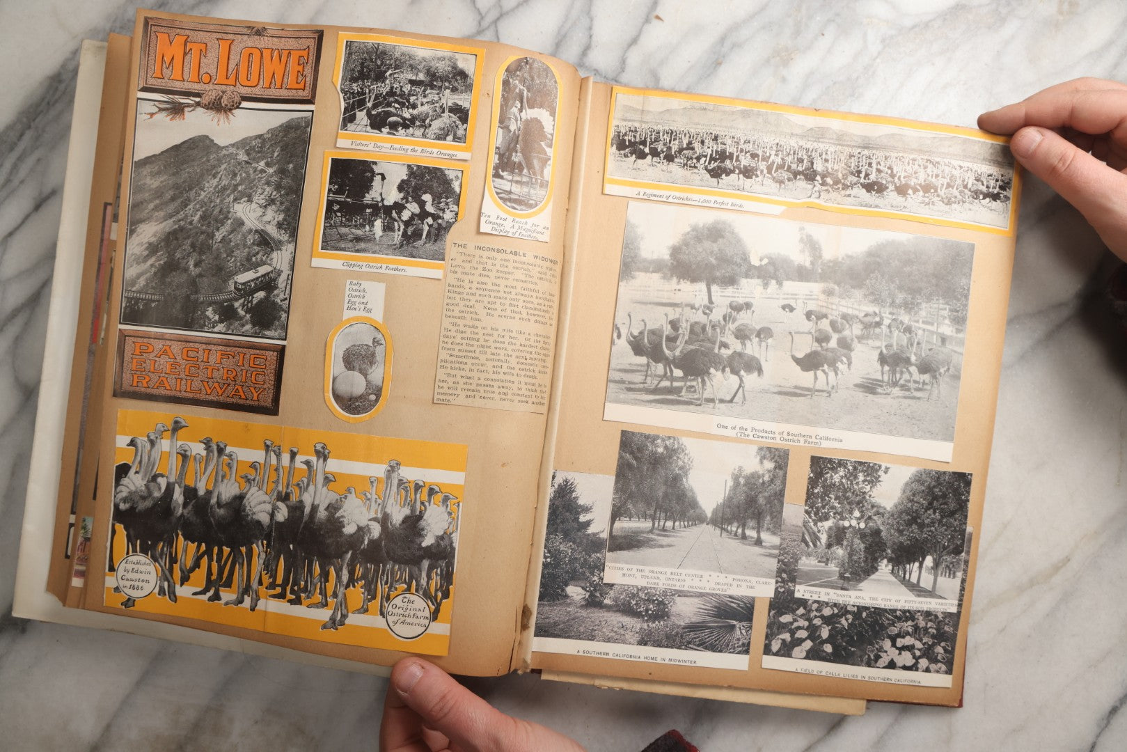 Lot 087 - Antique "The Nonpareil" Scrapbook Album With New Orleans, California, Arizona Ephemera, Pressed Flowers, 1914 Raja-Yoga Messenger Magazine, Patent March 1876, Heavy Water Staining, Warped Boards, Brittle Binding And Pages, Circa 1914