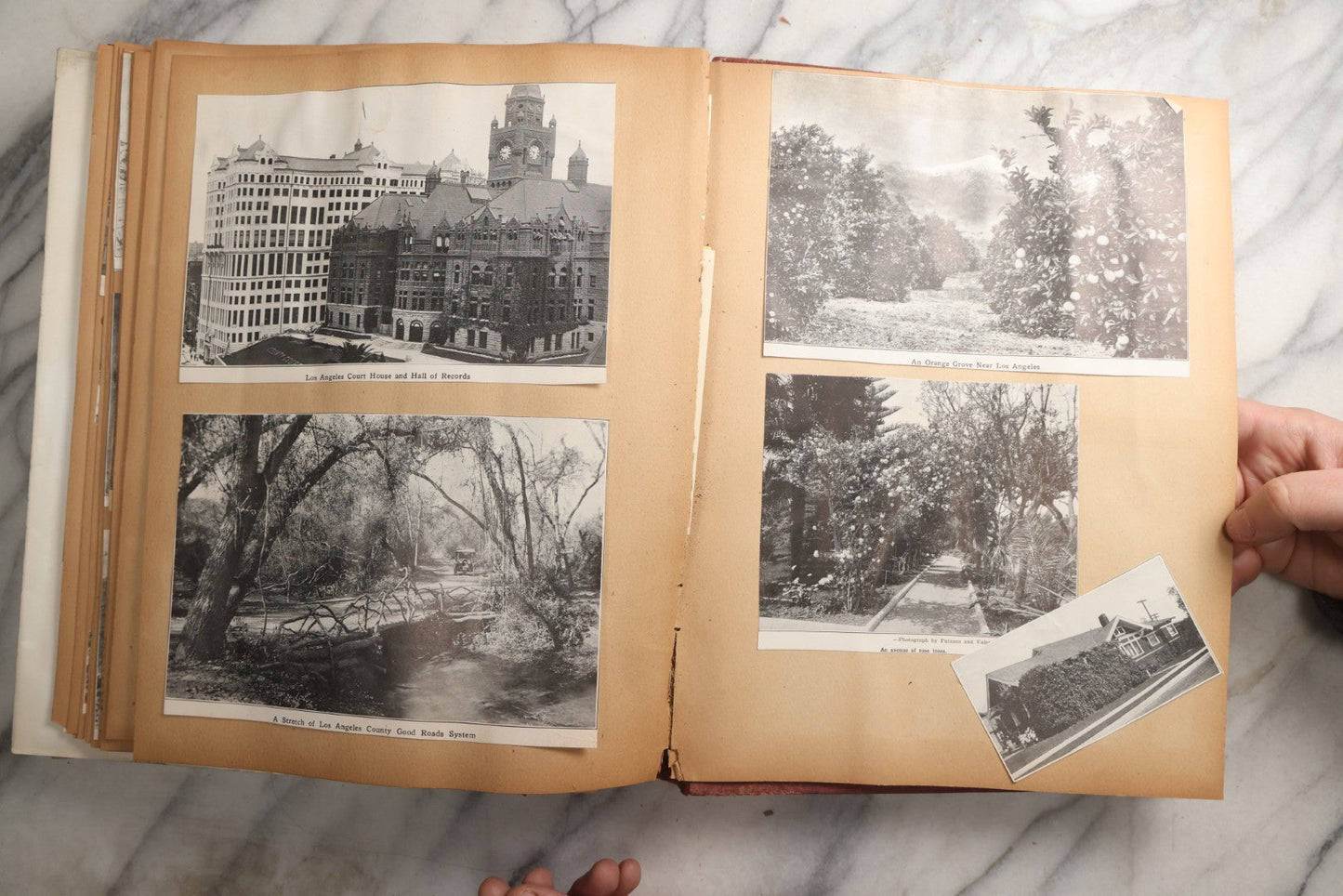 Lot 087 - Antique "The Nonpareil" Scrapbook Album With New Orleans, California, Arizona Ephemera, Pressed Flowers, 1914 Raja-Yoga Messenger Magazine, Patent March 1876, Heavy Water Staining, Warped Boards, Brittle Binding And Pages, Circa 1914