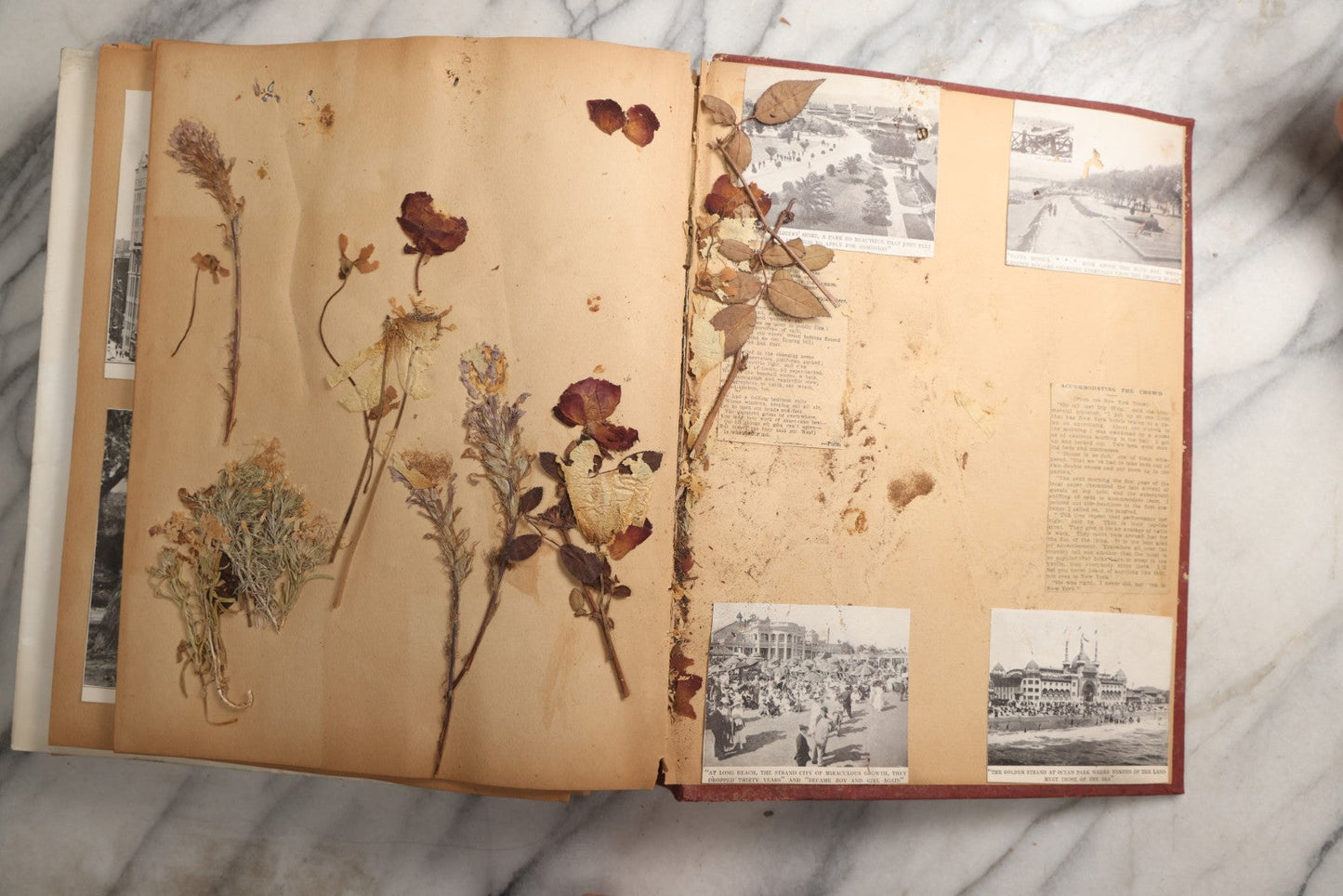 Lot 087 - Antique "The Nonpareil" Scrapbook Album With New Orleans, California, Arizona Ephemera, Pressed Flowers, 1914 Raja-Yoga Messenger Magazine, Patent March 1876, Heavy Water Staining, Warped Boards, Brittle Binding And Pages, Circa 1914