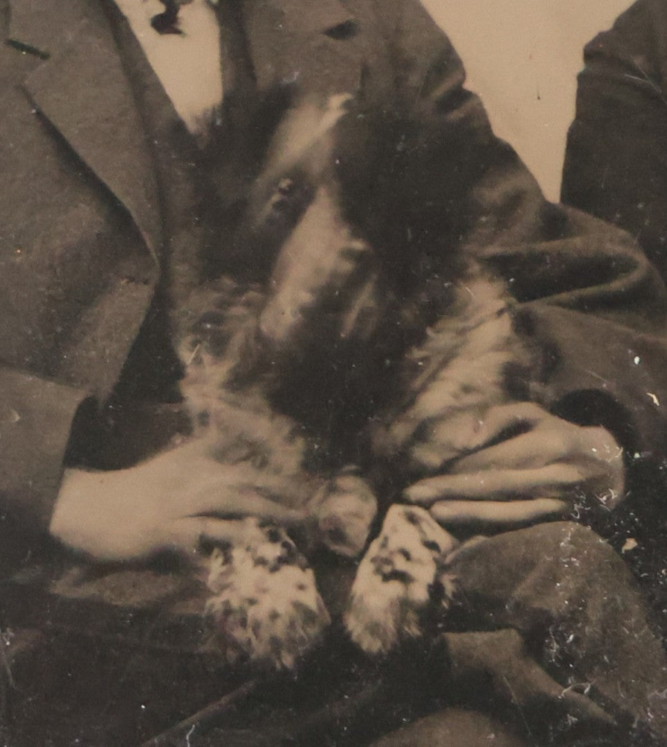 Lot 111 - Antique Tintype Photograph Of Two Bearded Men In Caps With Rambunctious Spotted Dog Seated On Lap, Dog Blurred From Motion