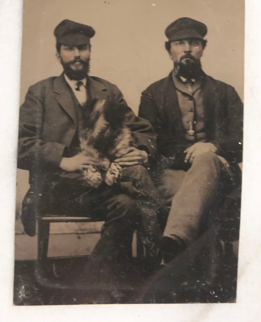 Lot 111 - Antique Tintype Photograph Of Two Bearded Men In Caps With Rambunctious Spotted Dog Seated On Lap, Dog Blurred From Motion
