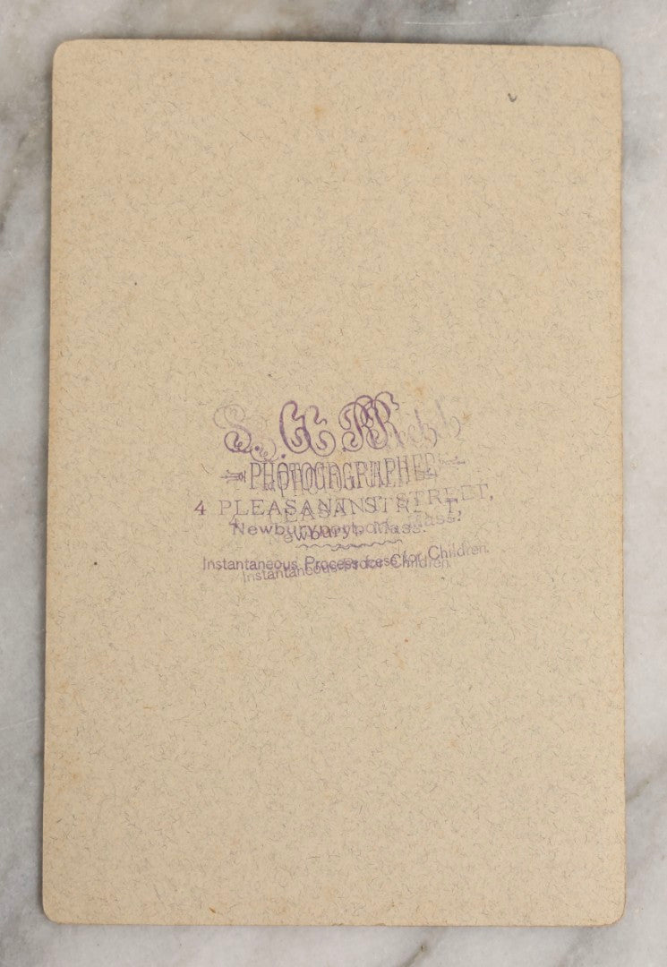 Lot 112 - Antique Cabinet Card Photograph Of Spaniel Dog Seated On Ornate Studio Bench, Photographed By S.G.R., Newburyport, Massachusetts