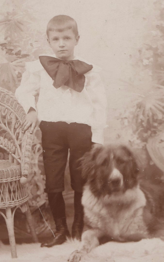 Lot 113 - Antique Cabinet Card Photograph Of Young Boy With Large St. Bernard–Type Farm Dog, Photographed By Howard, Fitchburg, Massachusetts