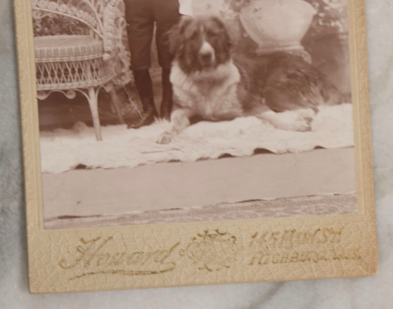 Lot 113 - Antique Cabinet Card Photograph Of Young Boy With Large St. Bernard–Type Farm Dog, Photographed By Howard, Fitchburg, Massachusetts