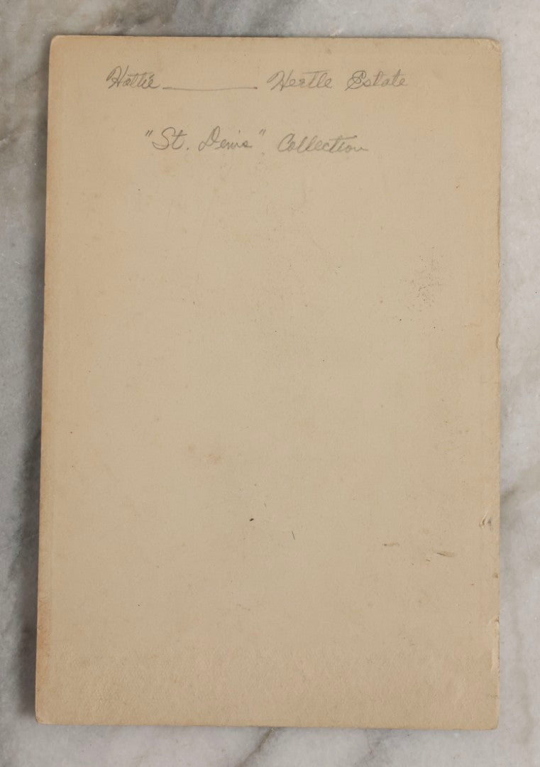 Lot 113 - Antique Cabinet Card Photograph Of Young Boy With Large St. Bernard–Type Farm Dog, Photographed By Howard, Fitchburg, Massachusetts