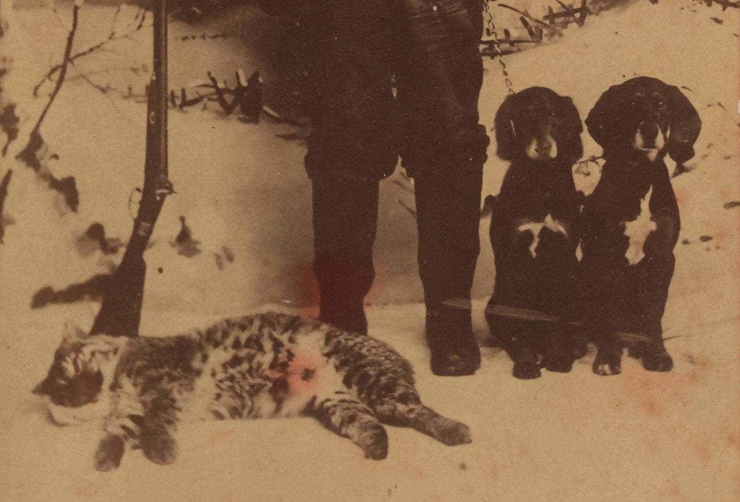 Lot 114 - Antique Cabinet Card Photograph Of Hunter With Rifle, Two Puppies, And Dead Wildcat In Snowy Outdoor Backdrop