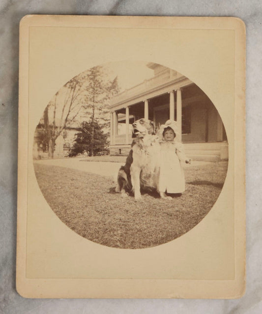 Lot 115 - Antique Cabinet Card Photograph Of Young Child Outdoors With Large Dog Seated On Lawn, Circular Print On Stout Cabinet Mount