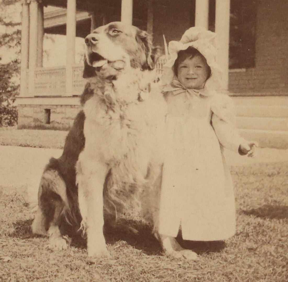 Lot 115 - Antique Cabinet Card Photograph Of Young Child Outdoors With Large Dog Seated On Lawn, Circular Print On Stout Cabinet Mount
