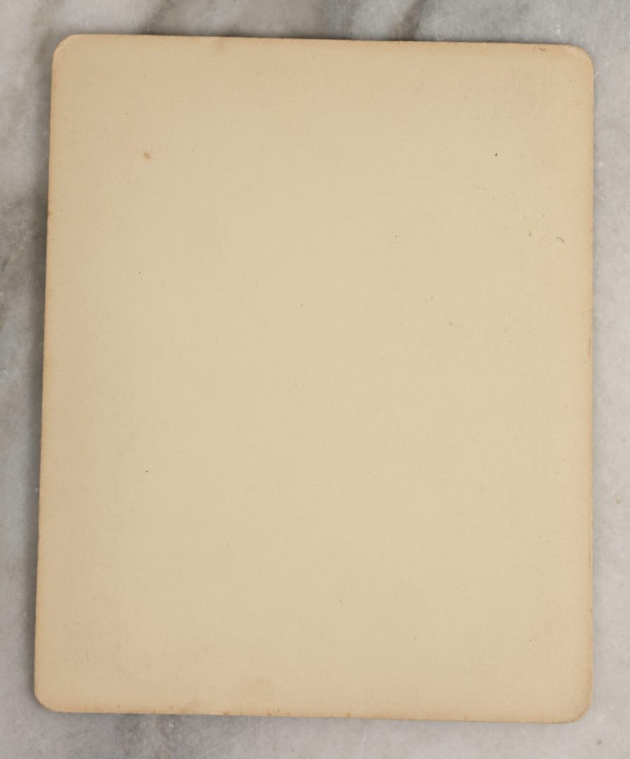 Lot 115 - Antique Cabinet Card Photograph Of Young Child Outdoors With Large Dog Seated On Lawn, Circular Print On Stout Cabinet Mount