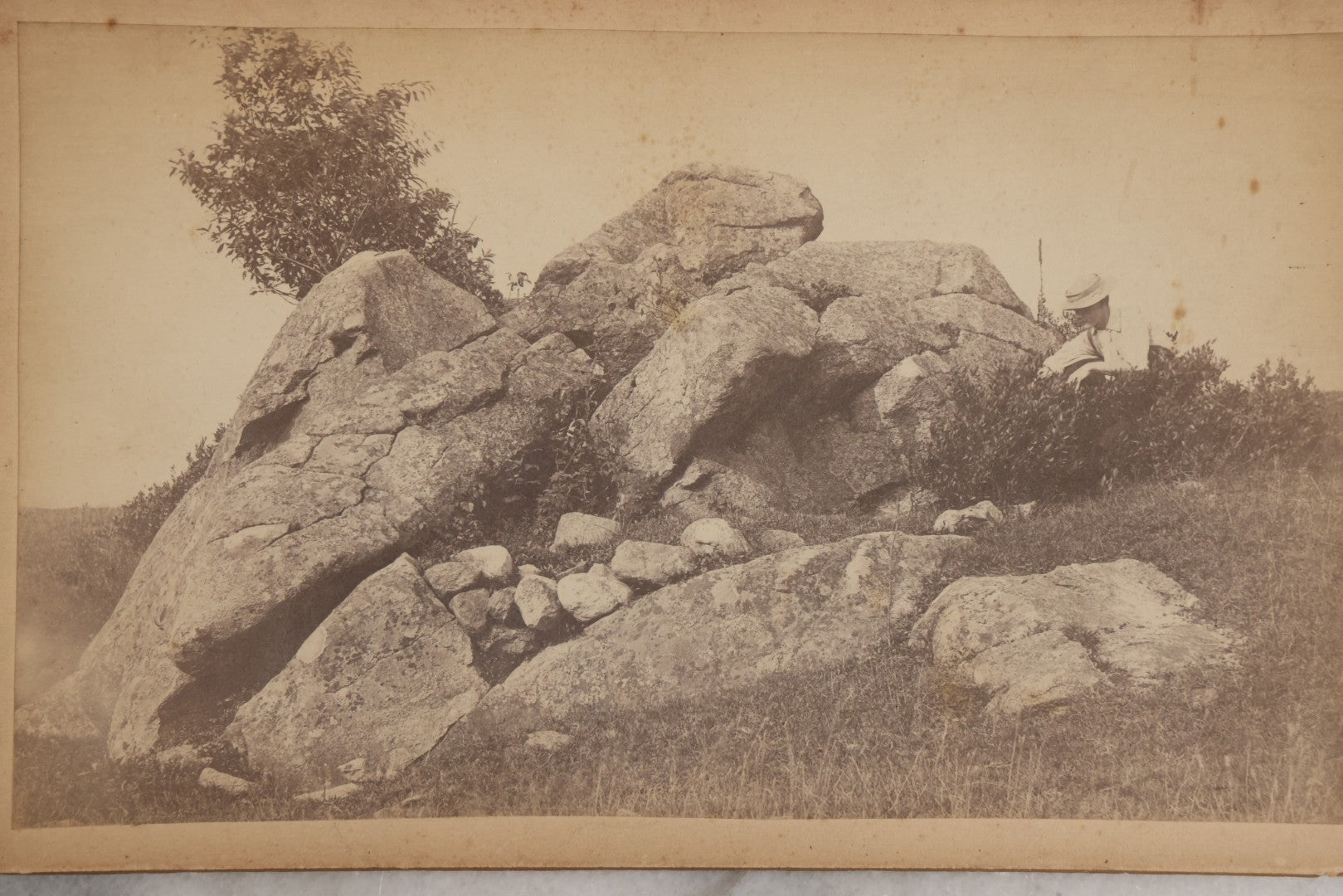 Lot 130 - Antique Large Cabinet Card Photograph Of Person Posed By Foliage And Rock Formation, Titled “A New England Pasture,” Holliston, Massachusetts