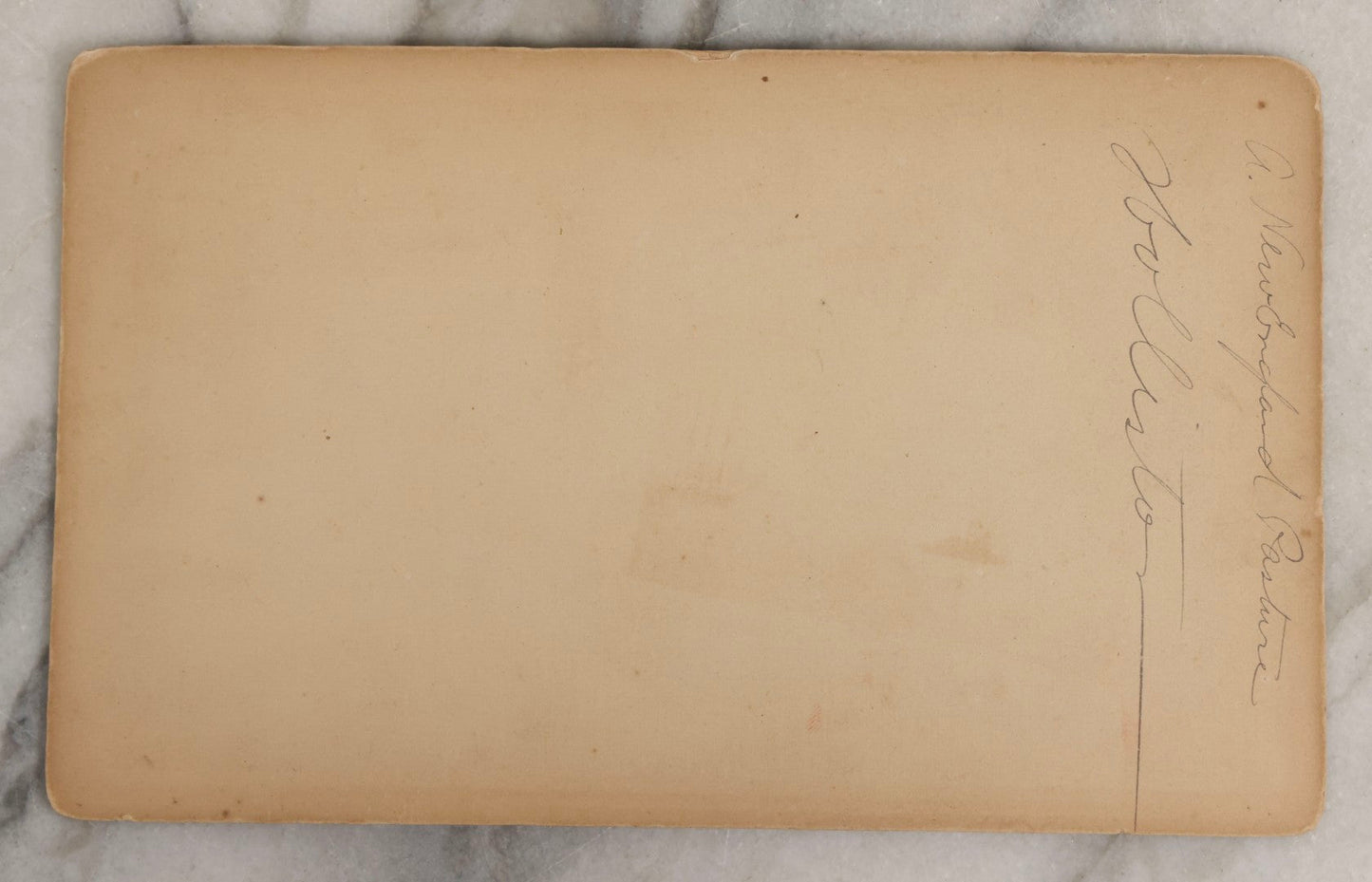 Lot 130 - Antique Large Cabinet Card Photograph Of Person Posed By Foliage And Rock Formation, Titled “A New England Pasture,” Holliston, Massachusetts