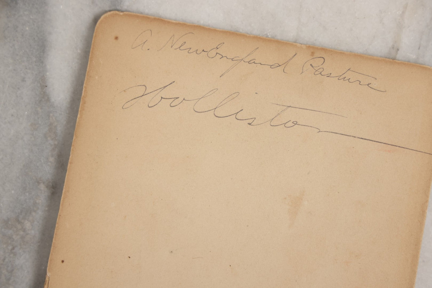 Lot 130 - Antique Large Cabinet Card Photograph Of Person Posed By Foliage And Rock Formation, Titled “A New England Pasture,” Holliston, Massachusetts