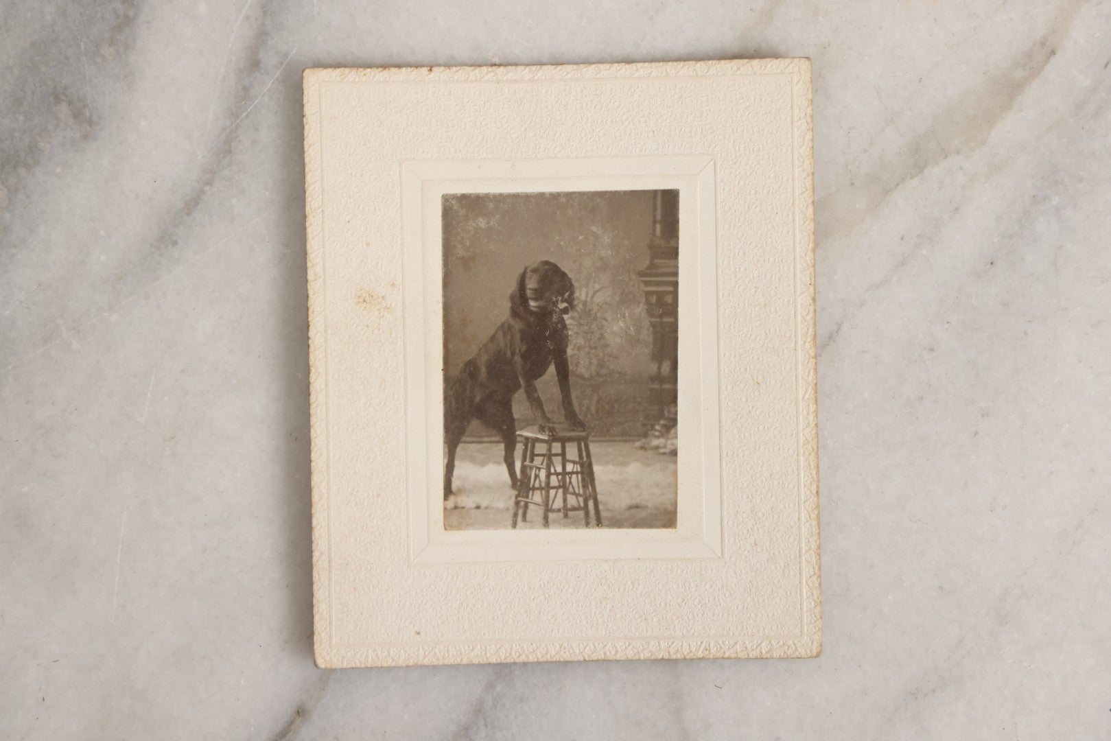 Lot 151 - Antique Box Lot Of Fifteen “Pocket Kodak” Miniature Boarded Photographs Including Dog On Stool, Boys Smoking Pipes, And Man In Workshop, With Camp Alger Flag Pin And American Views Co. Trade Card In John D. Cutter & Co. Chromolithograph Box