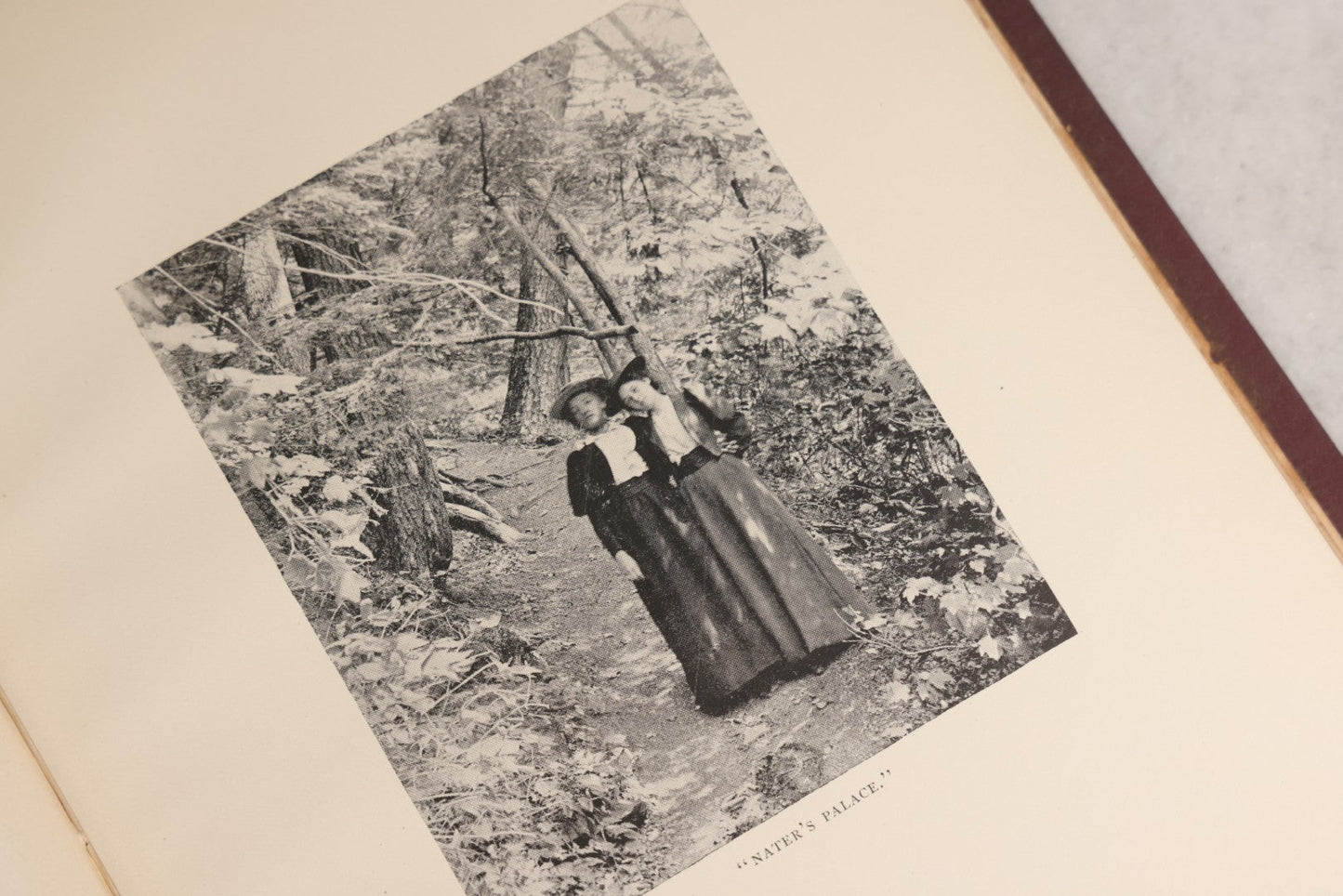 Lot 158 - "Idyls Of Old New England" Antique Poetry Book By Clarence Hawkes, Illustrated By R. Lionel De Lisser And Bessie W. Bell, Published By Picturesque Publishing Co., Northampton, Massachusetts, 1897