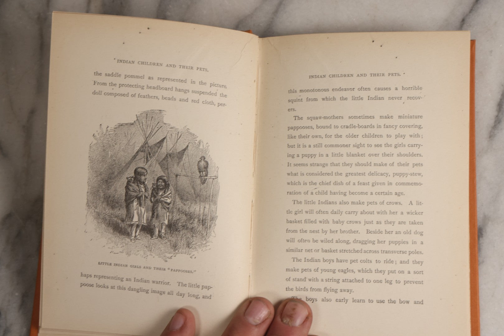Lot 164 - "Indian Children And Their Pets And Other Stories" Antique Illustrated Children's Book, Published By The Werner Company, New York, 1899