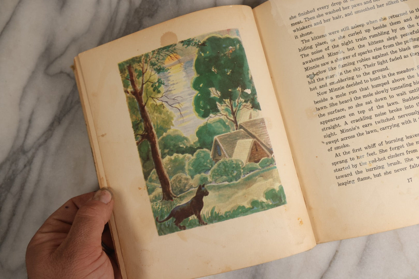 Lot 166 - "The Cat And The Kitten" Vintage Illustrated Children's Book By Berta And Elmer Hader, Published By The Macmillan Company, New York, 1940