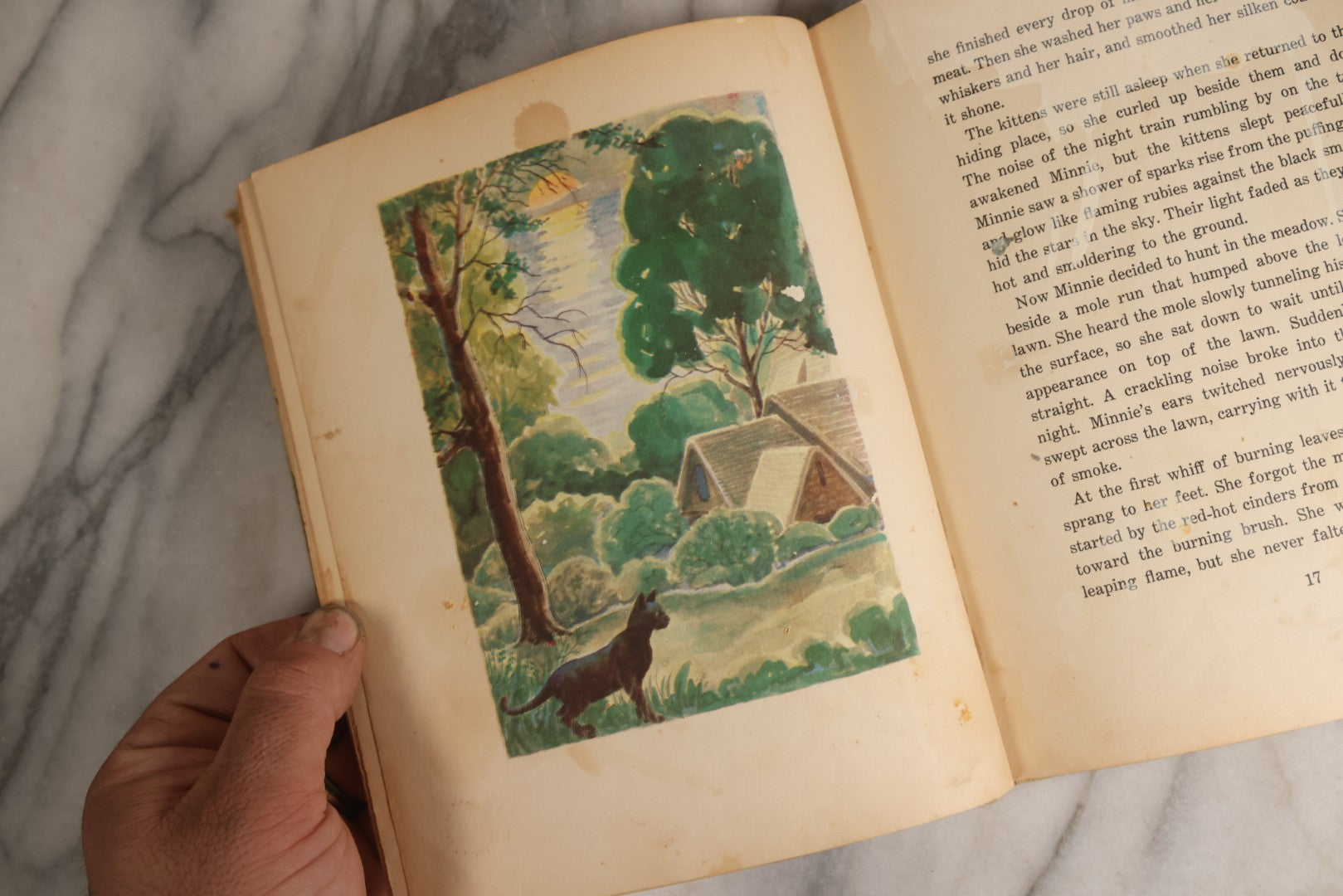 Lot 166 - "The Cat And The Kitten" Vintage Illustrated Children's Book By Berta And Elmer Hader, Published By The Macmillan Company, New York, 1940