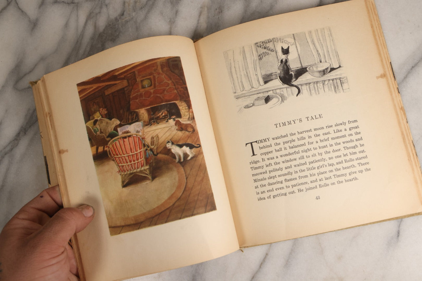 Lot 166 - "The Cat And The Kitten" Vintage Illustrated Children's Book By Berta And Elmer Hader, Published By The Macmillan Company, New York, 1940