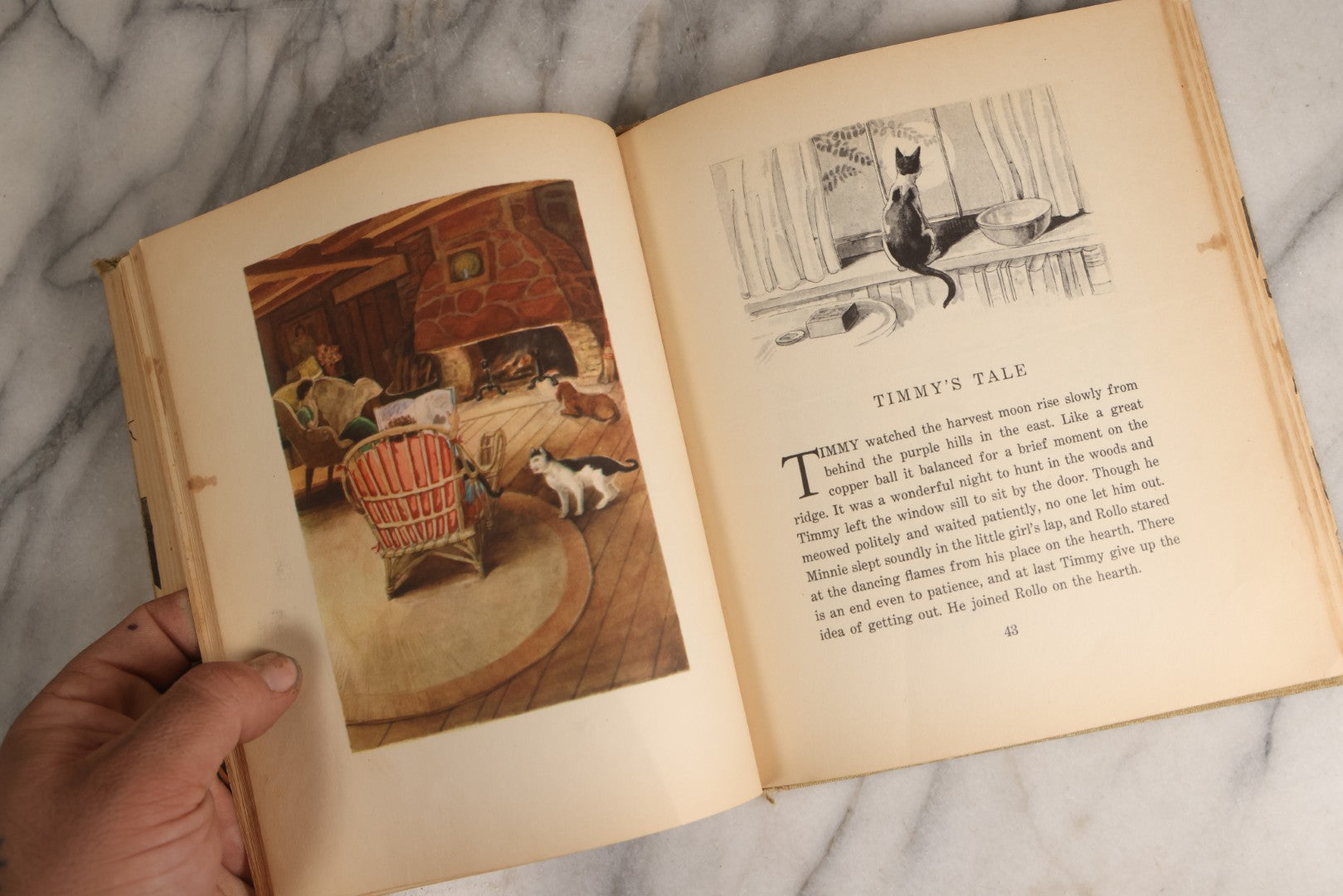 Lot 166 - "The Cat And The Kitten" Vintage Illustrated Children's Book By Berta And Elmer Hader, Published By The Macmillan Company, New York, 1940