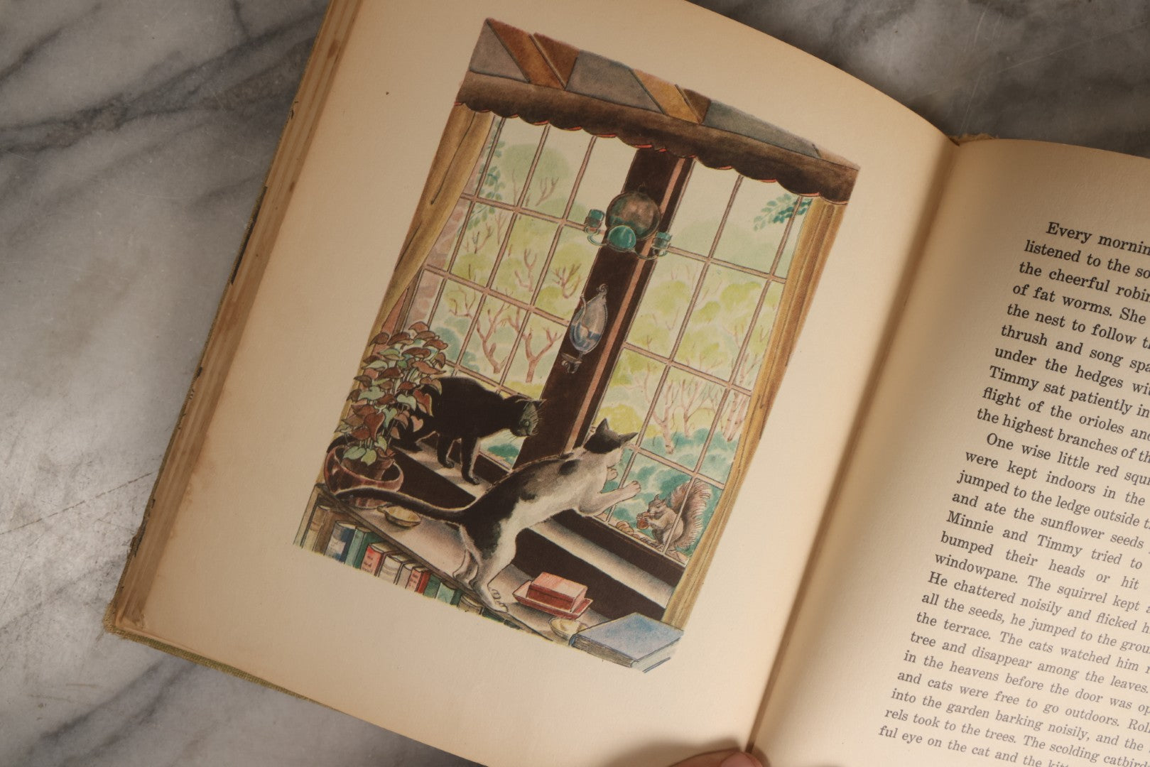 Lot 166 - "The Cat And The Kitten" Vintage Illustrated Children's Book By Berta And Elmer Hader, Published By The Macmillan Company, New York, 1940