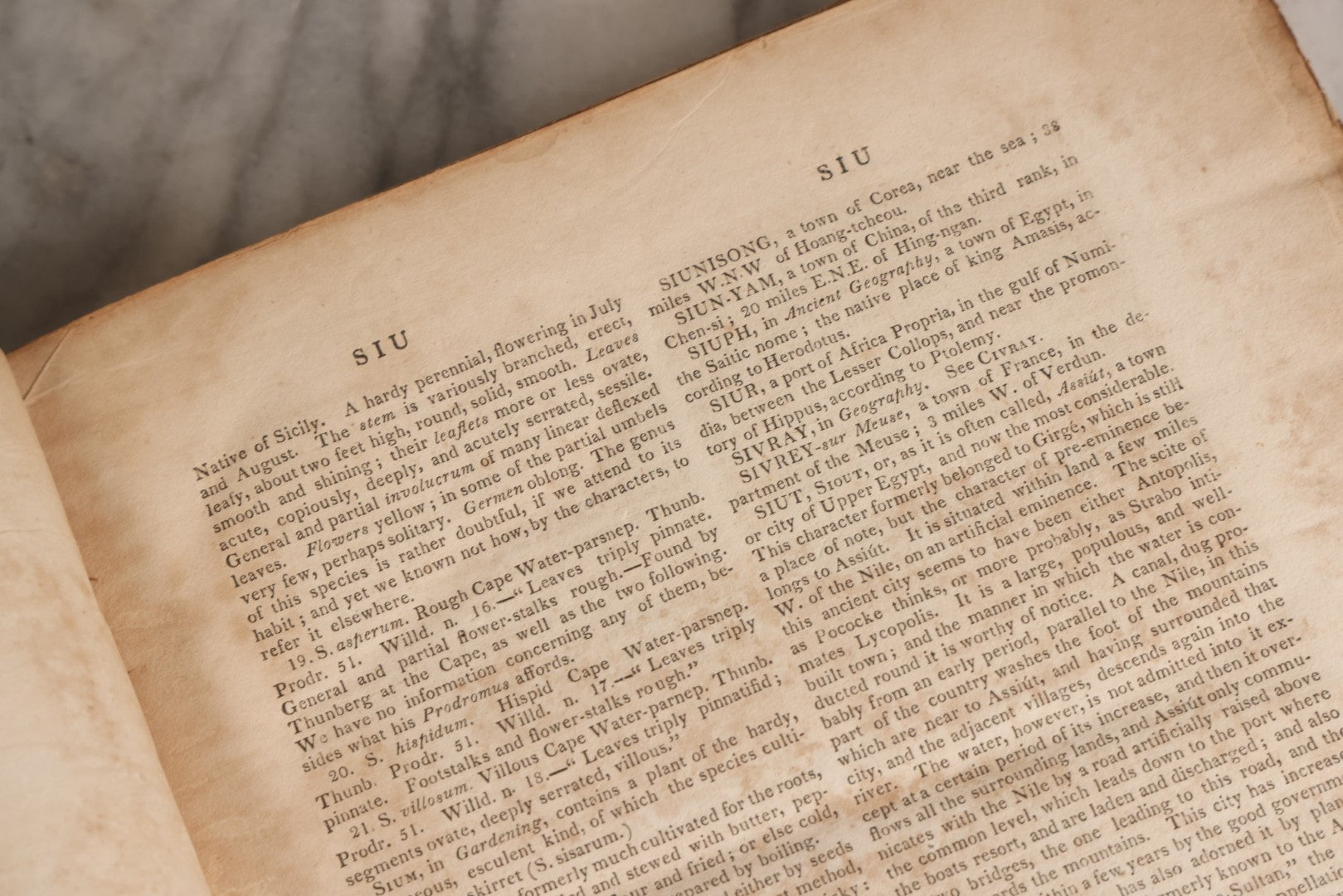Lot 168 - "Dr. Rees's New Cyclopedia, The New Cyclopedia Or Universal Dictionary" Antique Reference Book, Volume XXXIV Part II, Siu To Sparaxis, Published 1816