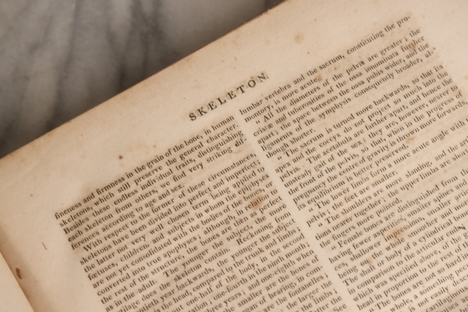 Lot 168 - "Dr. Rees's New Cyclopedia, The New Cyclopedia Or Universal Dictionary" Antique Reference Book, Volume XXXIV Part II, Siu To Sparaxis, Published 1816
