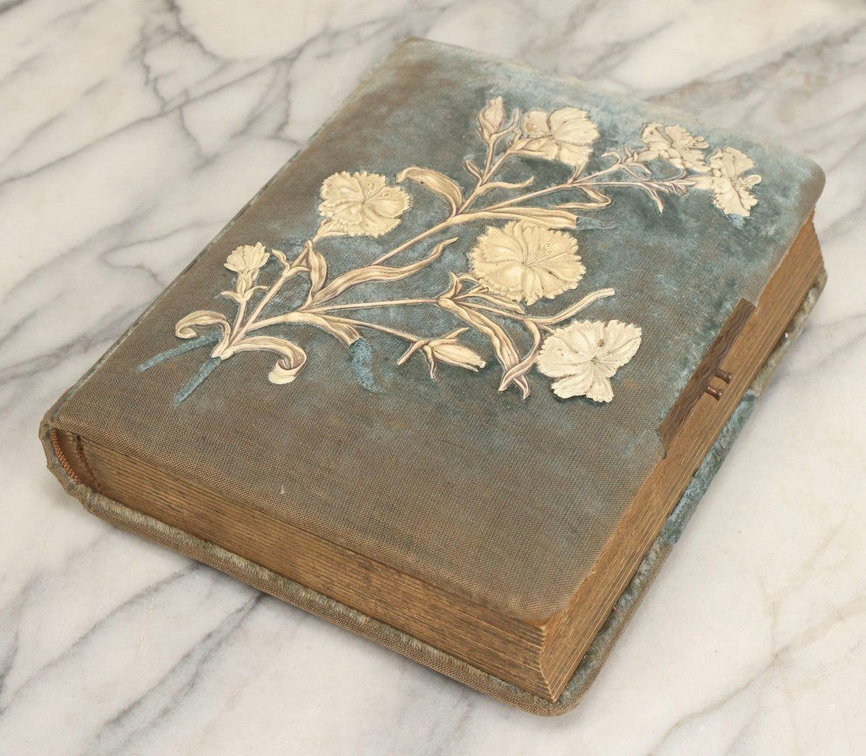 Lot 082 - Antique Cabinet Card And Carte De Visite C.D.V. Photograph Album With 24 Cabinet Card Photographs, Light Blue Velvet Covers With White Celluloid Floral Appliqué, Missing Clasp