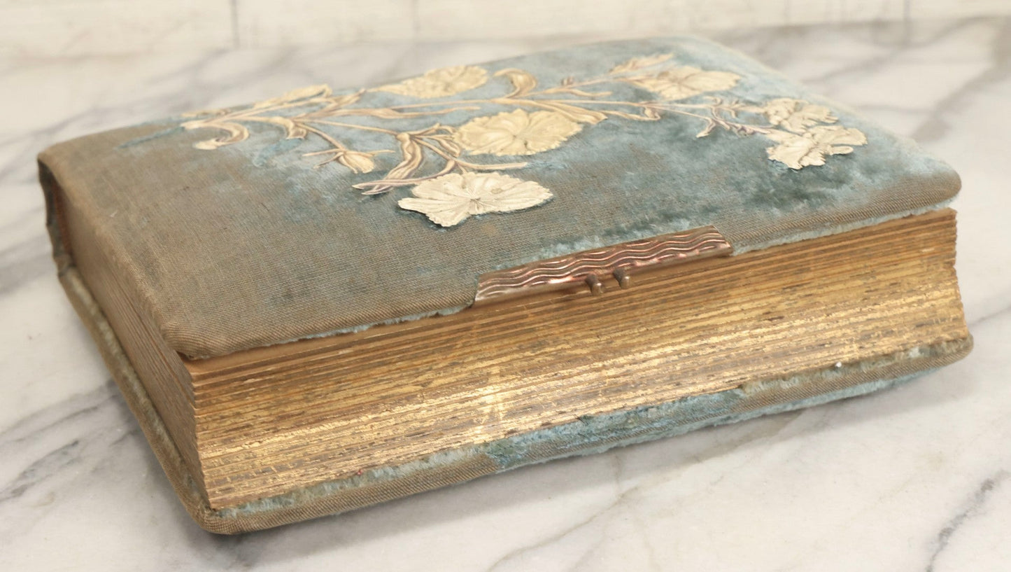 Lot 082 - Antique Cabinet Card And Carte De Visite C.D.V. Photograph Album With 24 Cabinet Card Photographs, Light Blue Velvet Covers With White Celluloid Floral Appliqué, Missing Clasp