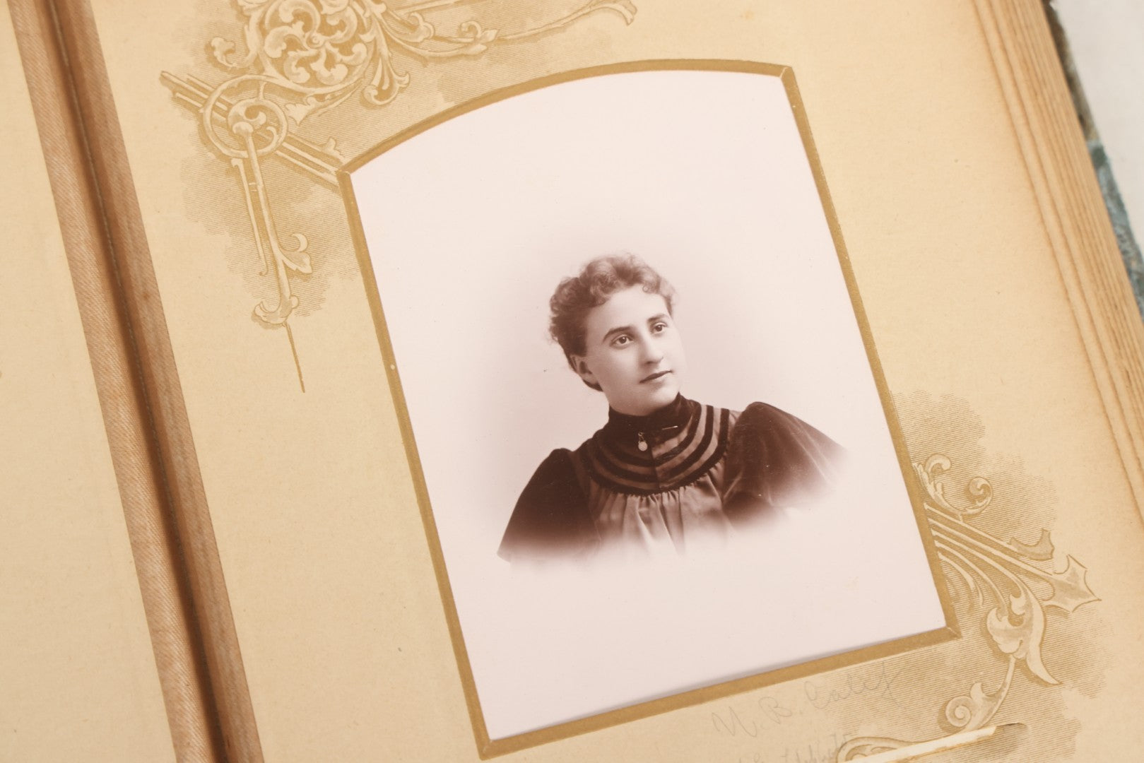 Lot 082 - Antique Cabinet Card And Carte De Visite C.D.V. Photograph Album With 24 Cabinet Card Photographs, Light Blue Velvet Covers With White Celluloid Floral Appliqué, Missing Clasp