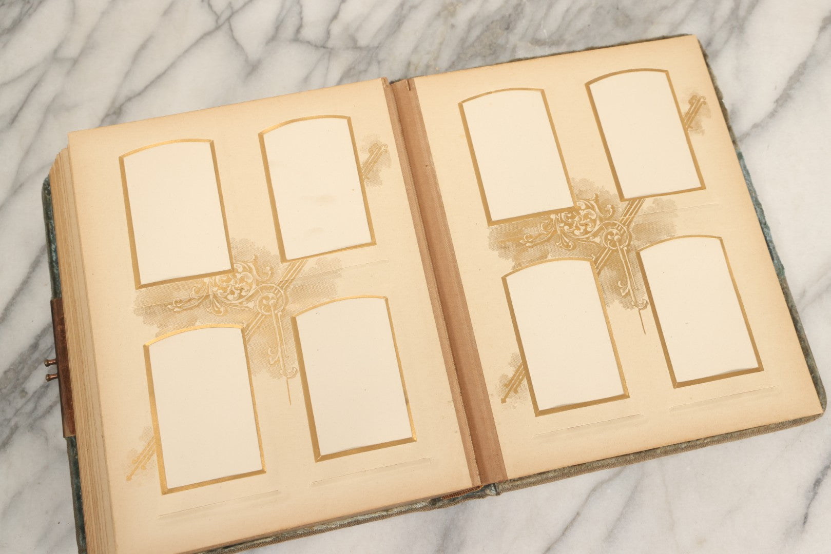 Lot 082 - Antique Cabinet Card And Carte De Visite C.D.V. Photograph Album With 24 Cabinet Card Photographs, Light Blue Velvet Covers With White Celluloid Floral Appliqué, Missing Clasp