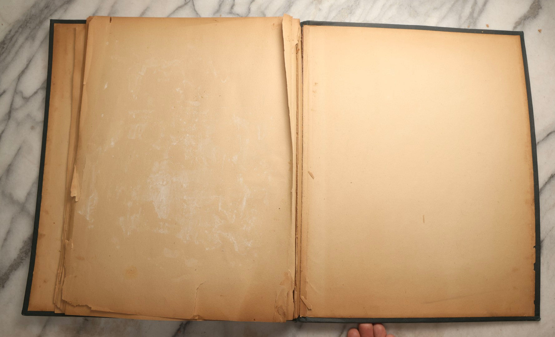 Lot 096 - Antique "The Nonpareil" Scrapbook, Puppies Illustration On Cover, With 100+ Trade Cards, Die Cuts, And Greeting Cards Featuring Children, Butterflies, And Flowers, Circa 1900-1906, Note Binding Detached