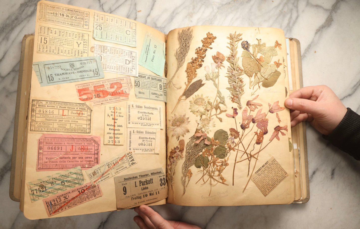 Lot 097 - Antique Scrapbook With Mediterranean, Holy Lands, Egypt, And Algeria Travel Ephemera And Homemade Herbarium Pages, Circa 1911-1912, Note Many Pressed Samples Detached And Broken