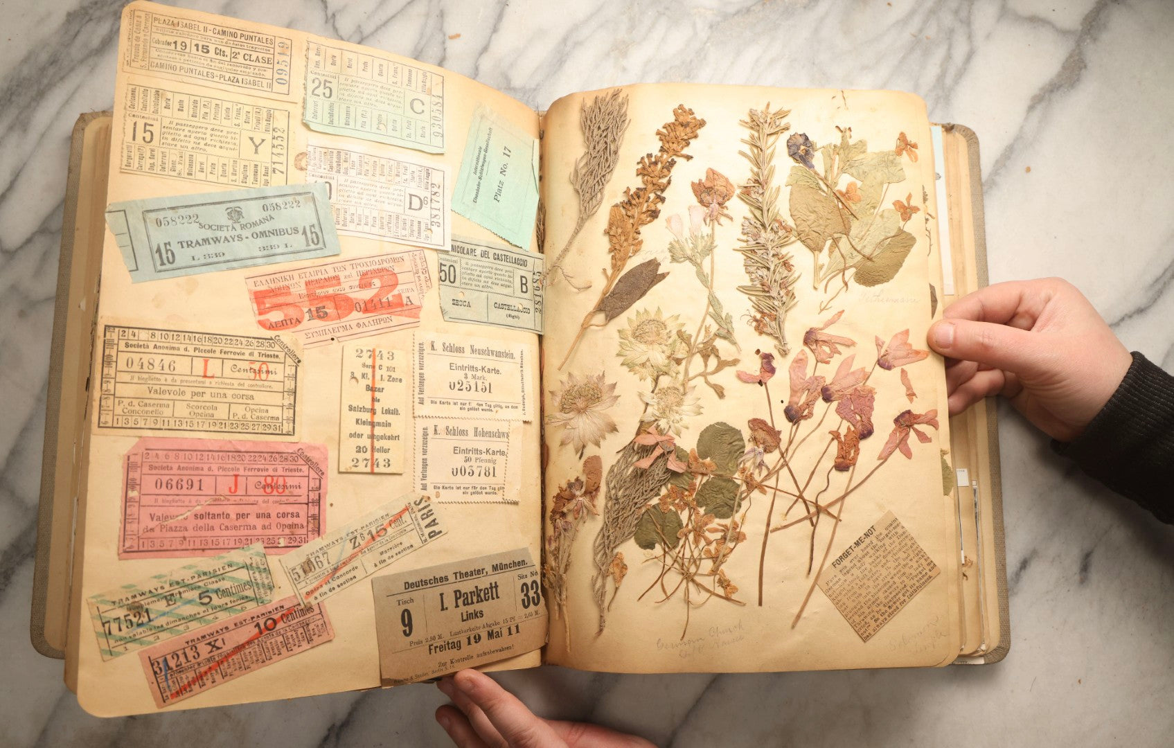 Lot 097 - Antique Scrapbook With Mediterranean, Holy Lands, Egypt, And Algeria Travel Ephemera And Homemade Herbarium Pages, Circa 1911-1912, Note Many Pressed Samples Detached And Broken