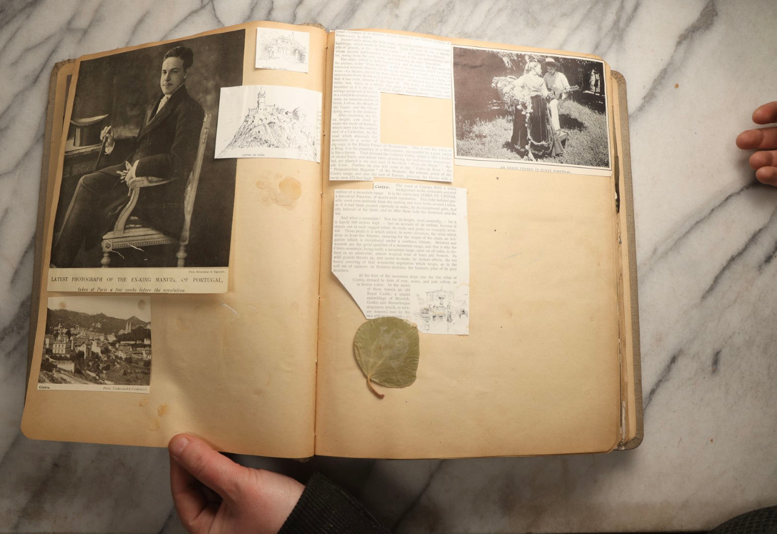 Lot 097 - Antique Scrapbook With Mediterranean, Holy Lands, Egypt, And Algeria Travel Ephemera And Homemade Herbarium Pages, Circa 1911-1912, Note Many Pressed Samples Detached And Broken