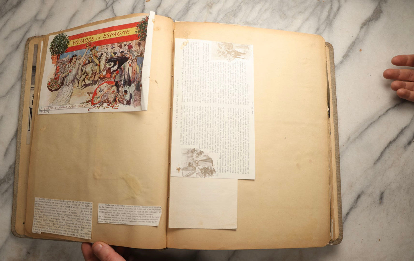 Lot 097 - Antique Scrapbook With Mediterranean, Holy Lands, Egypt, And Algeria Travel Ephemera And Homemade Herbarium Pages, Circa 1911-1912, Note Many Pressed Samples Detached And Broken