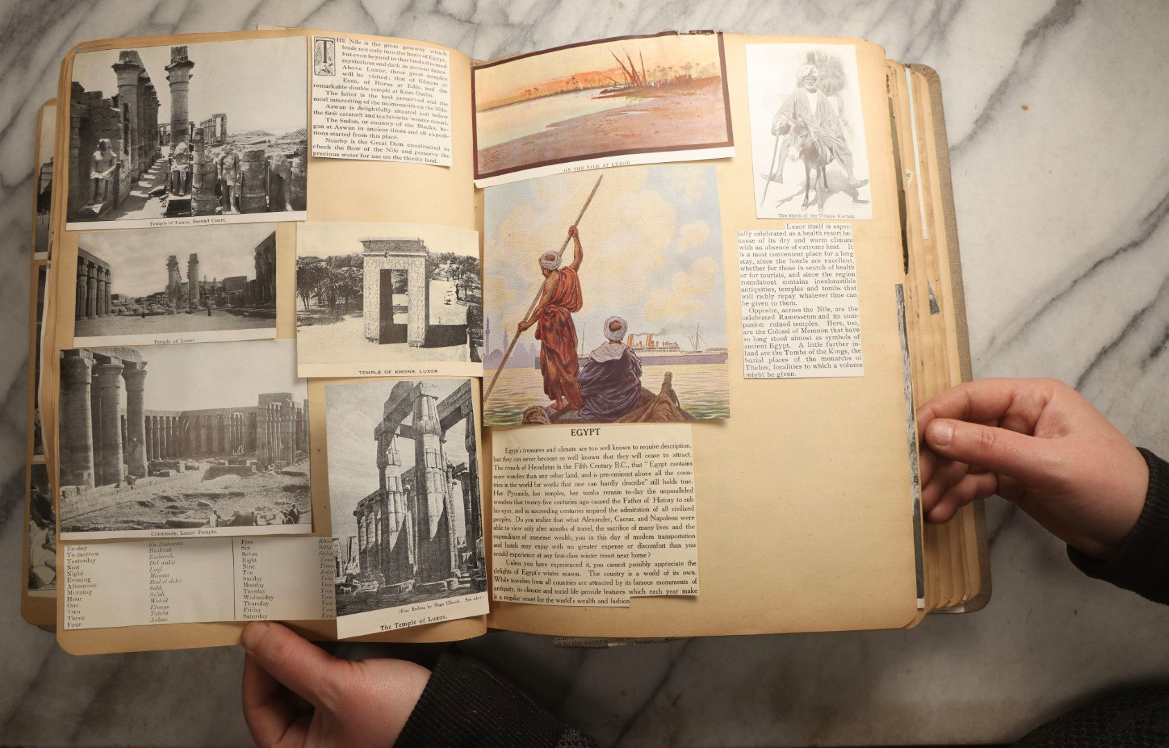Lot 097 - Antique Scrapbook With Mediterranean, Holy Lands, Egypt, And Algeria Travel Ephemera And Homemade Herbarium Pages, Circa 1911-1912, Note Many Pressed Samples Detached And Broken