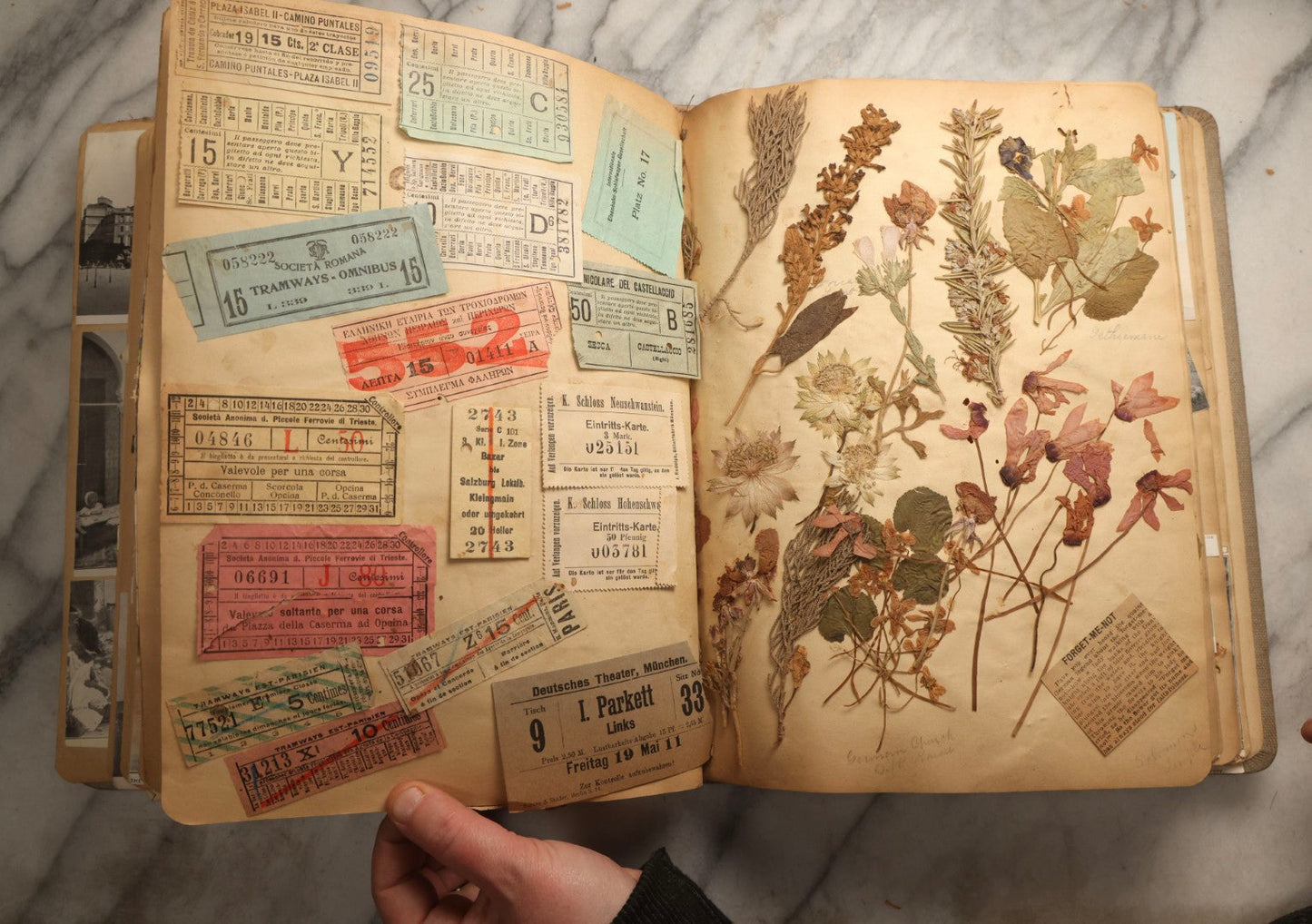 Lot 097 - Antique Scrapbook With Mediterranean, Holy Lands, Egypt, And Algeria Travel Ephemera And Homemade Herbarium Pages, Circa 1911-1912, Note Many Pressed Samples Detached And Broken