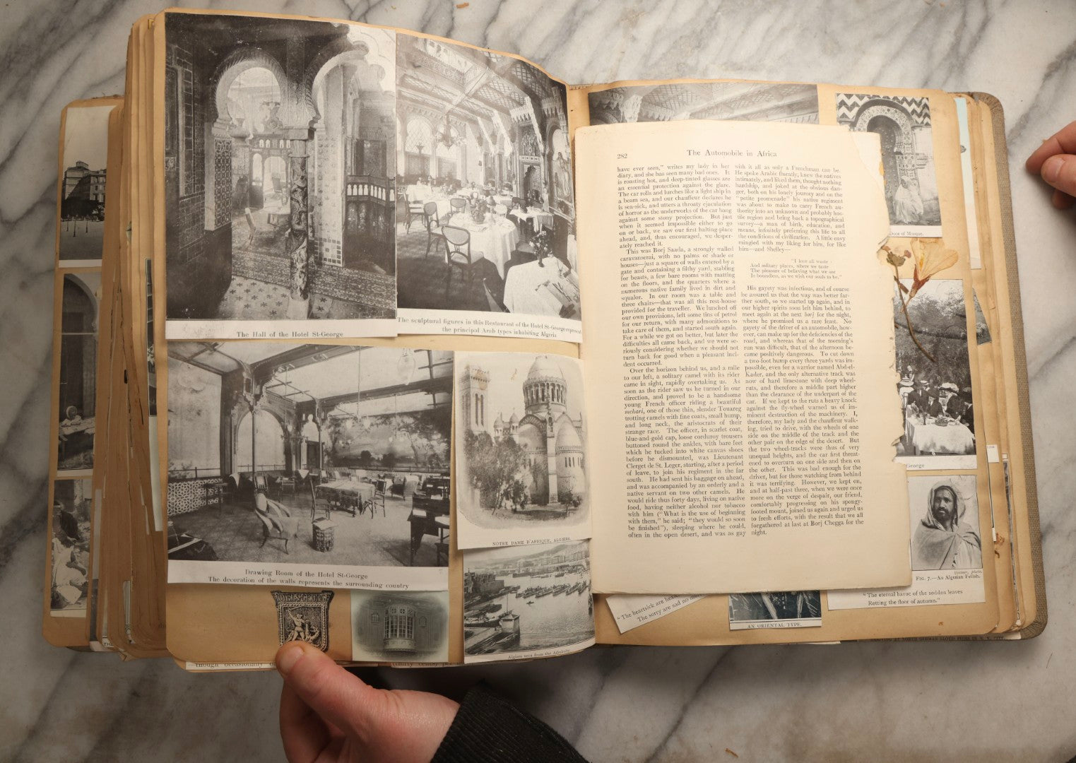 Lot 097 - Antique Scrapbook With Mediterranean, Holy Lands, Egypt, And Algeria Travel Ephemera And Homemade Herbarium Pages, Circa 1911-1912, Note Many Pressed Samples Detached And Broken