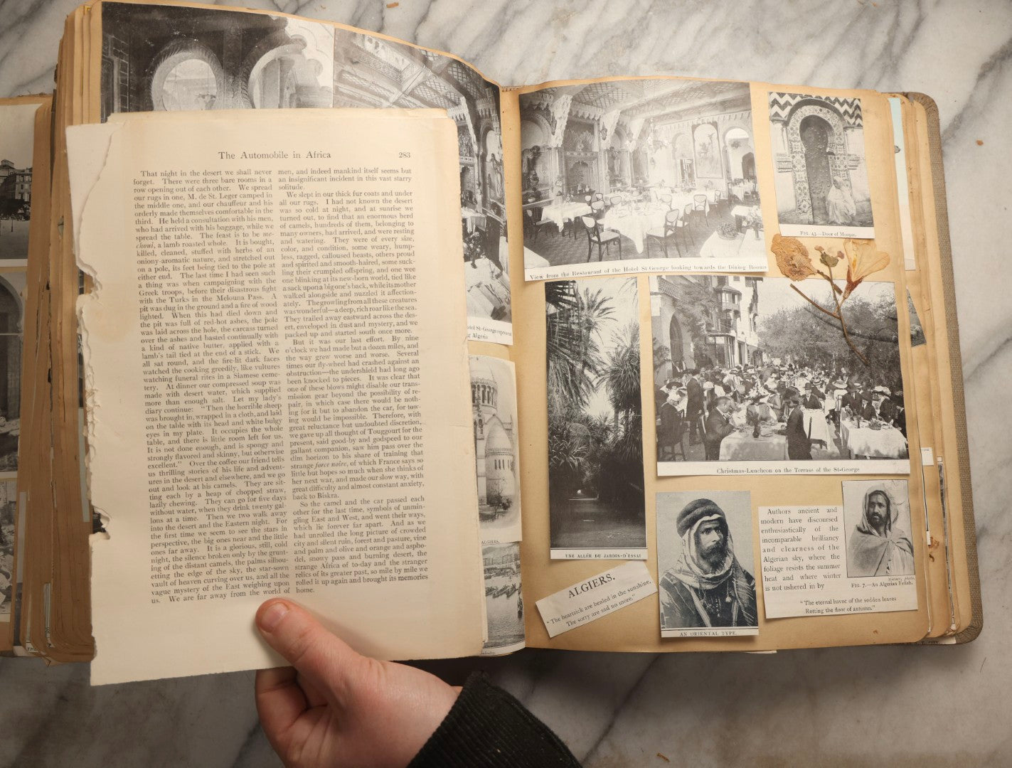 Lot 097 - Antique Scrapbook With Mediterranean, Holy Lands, Egypt, And Algeria Travel Ephemera And Homemade Herbarium Pages, Circa 1911-1912, Note Many Pressed Samples Detached And Broken
