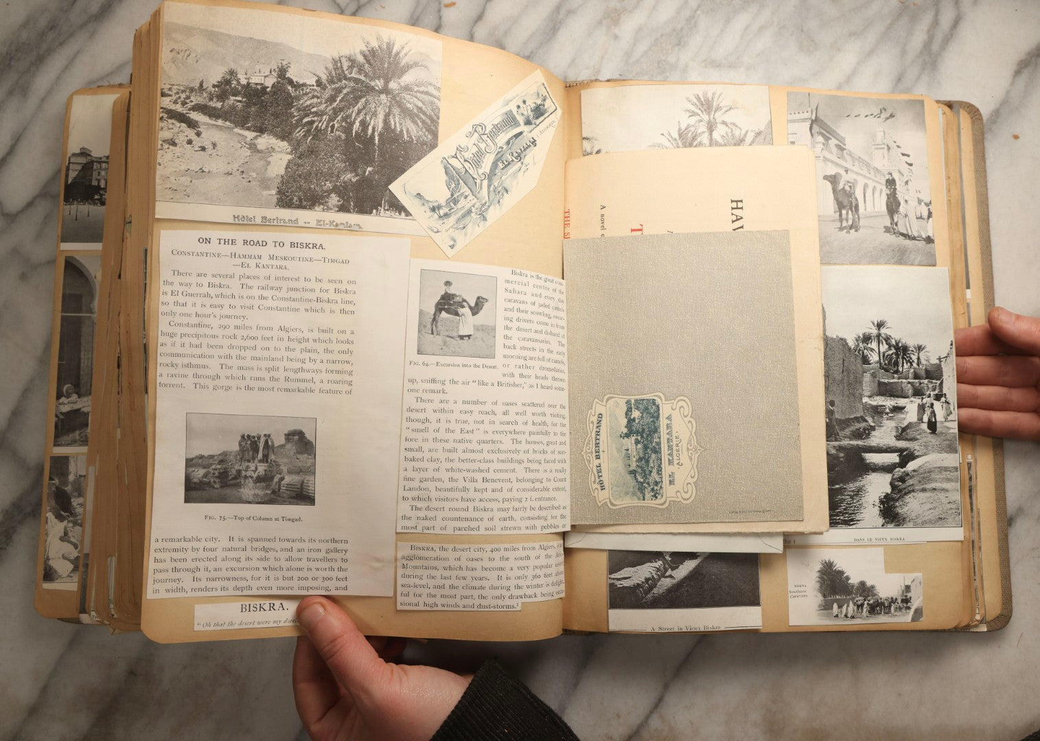 Lot 097 - Antique Scrapbook With Mediterranean, Holy Lands, Egypt, And Algeria Travel Ephemera And Homemade Herbarium Pages, Circa 1911-1912, Note Many Pressed Samples Detached And Broken
