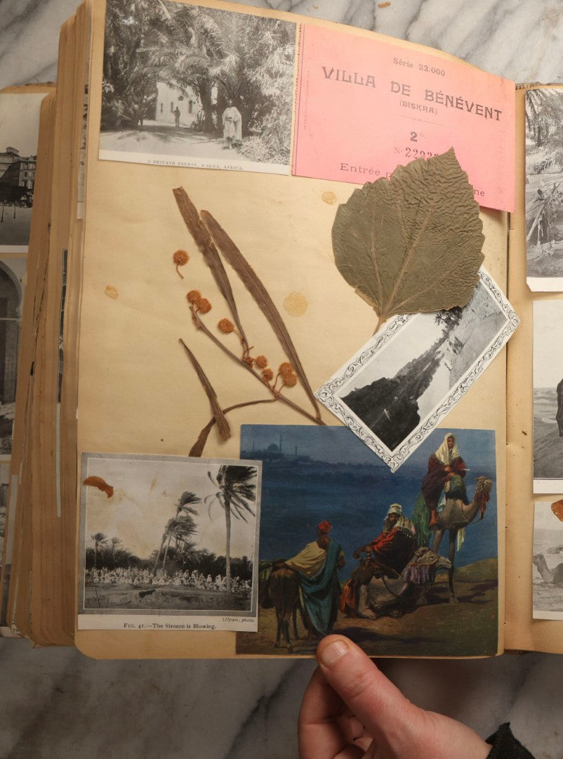 Lot 097 - Antique Scrapbook With Mediterranean, Holy Lands, Egypt, And Algeria Travel Ephemera And Homemade Herbarium Pages, Circa 1911-1912, Note Many Pressed Samples Detached And Broken