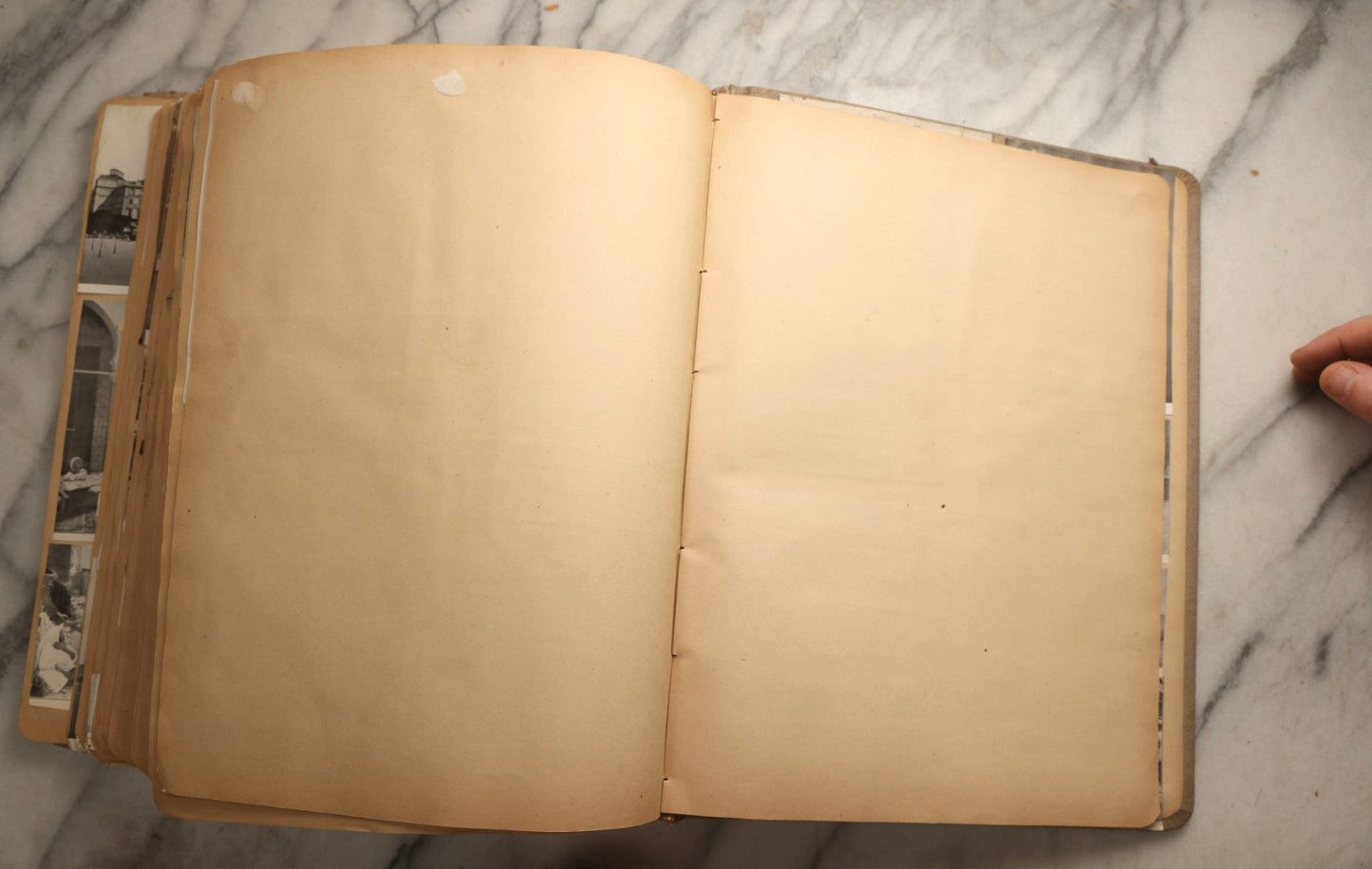 Lot 097 - Antique Scrapbook With Mediterranean, Holy Lands, Egypt, And Algeria Travel Ephemera And Homemade Herbarium Pages, Circa 1911-1912, Note Many Pressed Samples Detached And Broken