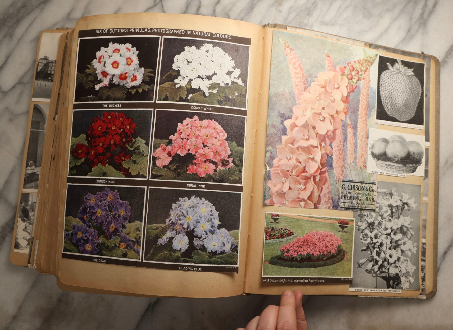 Lot 097 - Antique Scrapbook With Mediterranean, Holy Lands, Egypt, And Algeria Travel Ephemera And Homemade Herbarium Pages, Circa 1911-1912, Note Many Pressed Samples Detached And Broken