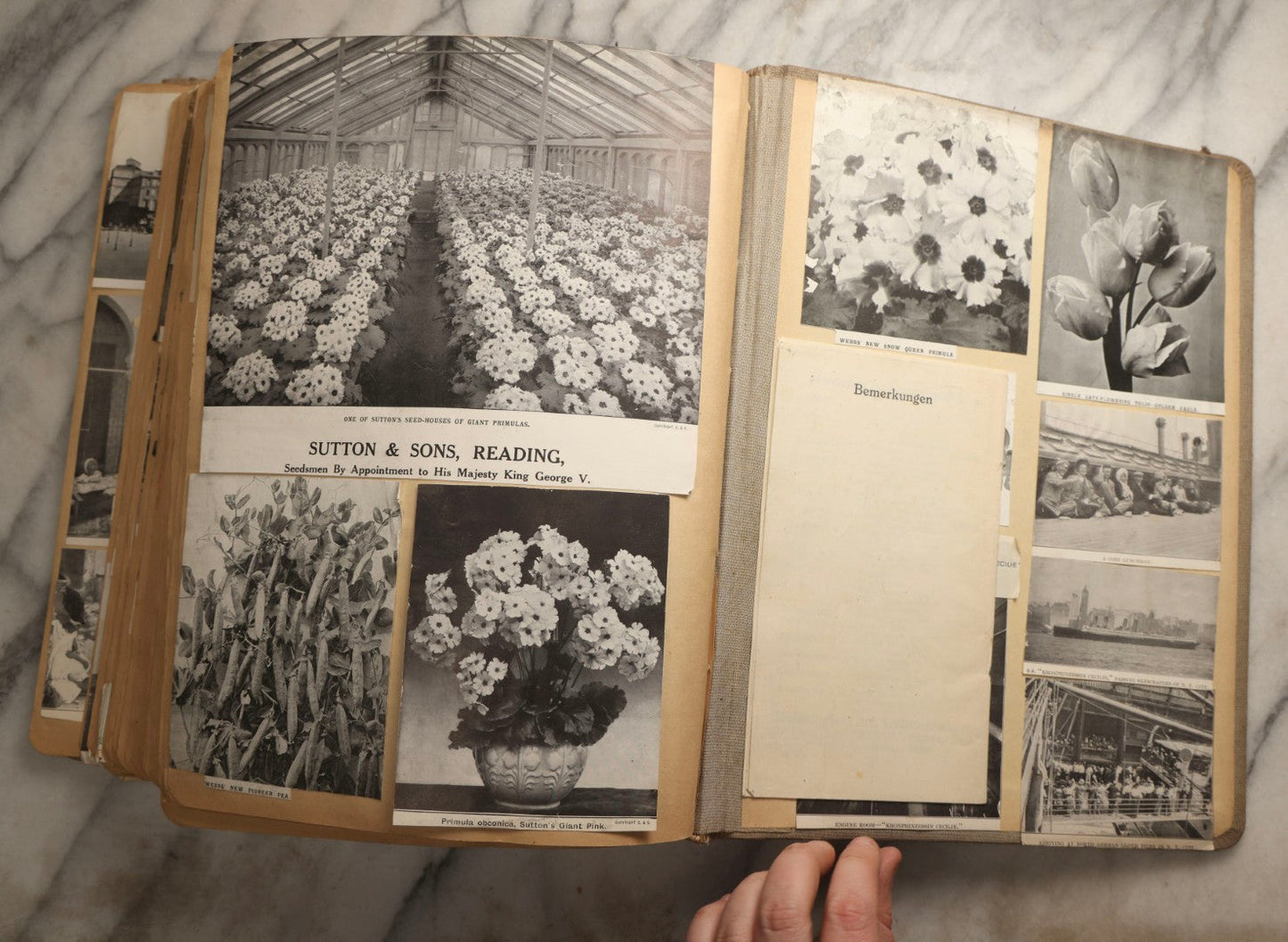 Lot 097 - Antique Scrapbook With Mediterranean, Holy Lands, Egypt, And Algeria Travel Ephemera And Homemade Herbarium Pages, Circa 1911-1912, Note Many Pressed Samples Detached And Broken