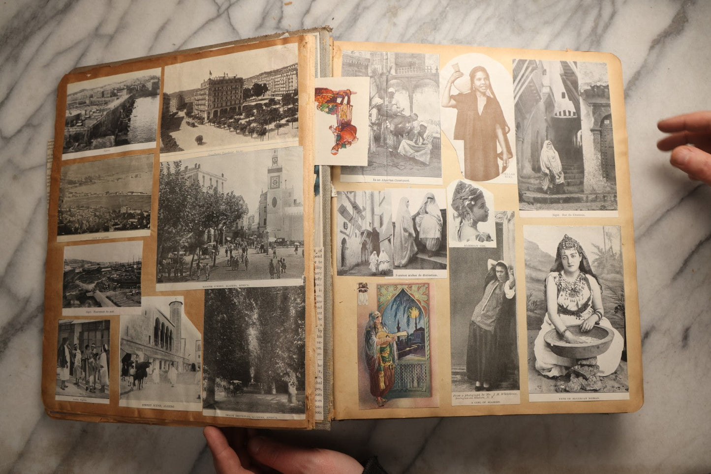 Lot 098 - Antique Scrapbook With Spain, Algeria, Greece, Syria, Italy, And Switzerland Travel Ephemera, Pressed Flowers And Botanical Specimens Throughout, Circa 1911