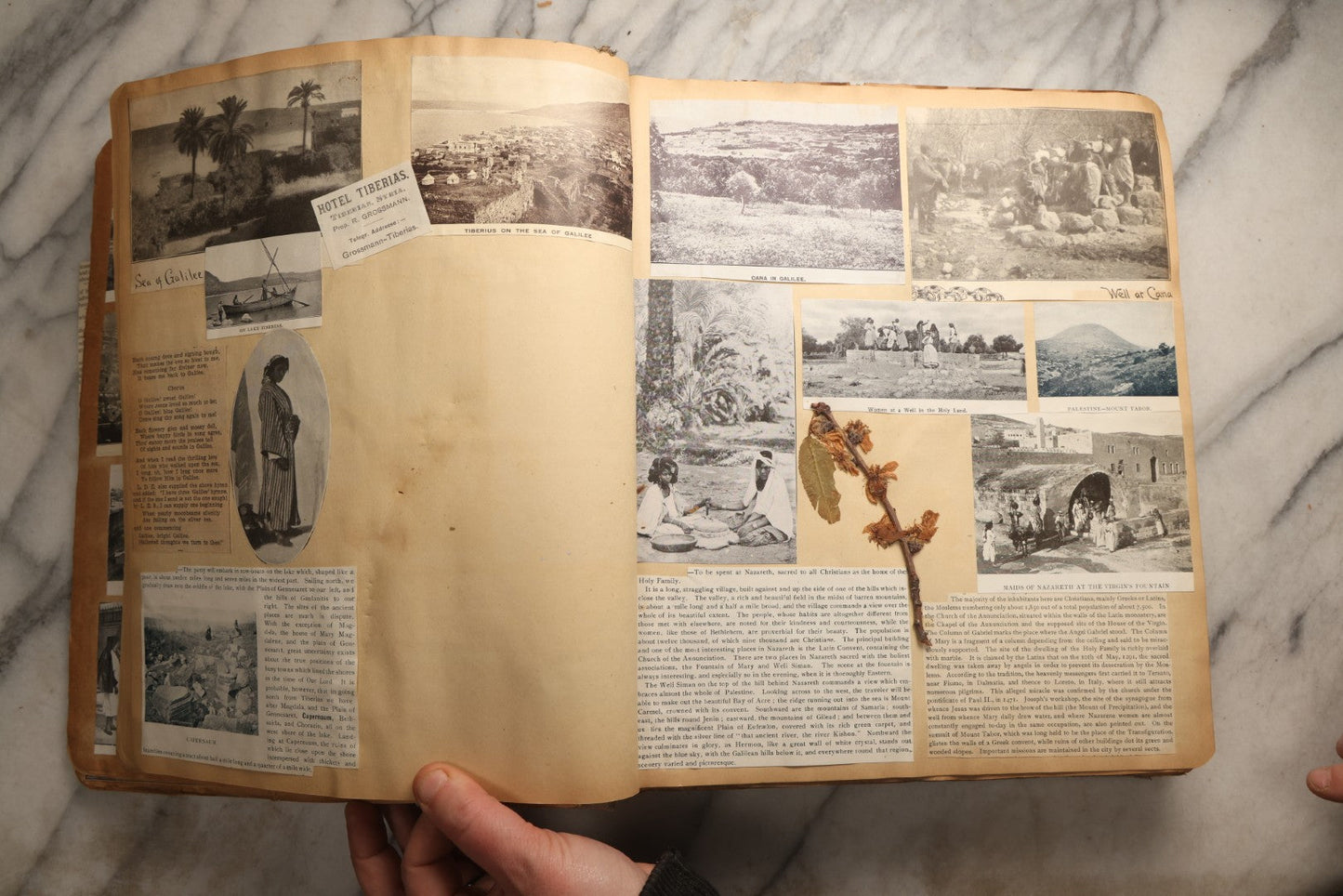 Lot 098 - Antique Scrapbook With Spain, Algeria, Greece, Syria, Italy, And Switzerland Travel Ephemera, Pressed Flowers And Botanical Specimens Throughout, Circa 1911