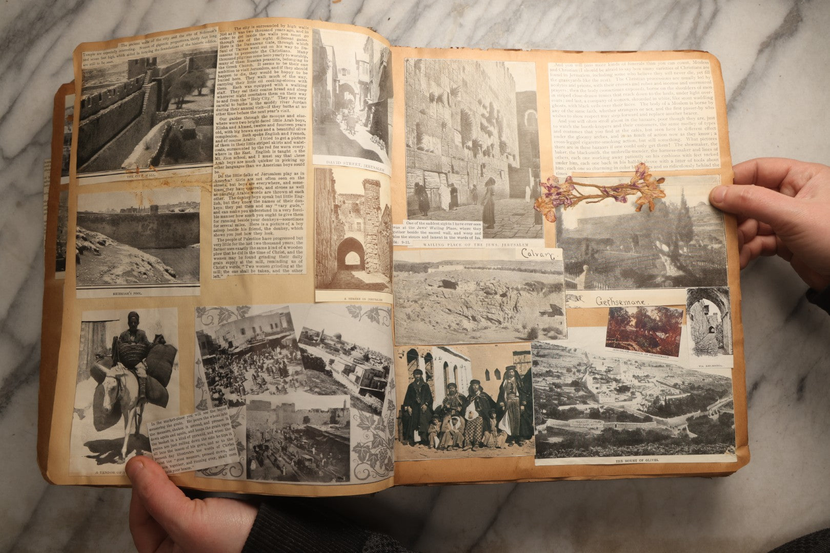 Lot 098 - Antique Scrapbook With Spain, Algeria, Greece, Syria, Italy, And Switzerland Travel Ephemera, Pressed Flowers And Botanical Specimens Throughout, Circa 1911