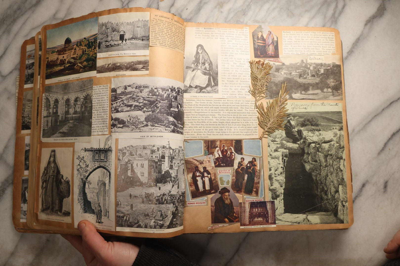 Lot 098 - Antique Scrapbook With Spain, Algeria, Greece, Syria, Italy, And Switzerland Travel Ephemera, Pressed Flowers And Botanical Specimens Throughout, Circa 1911