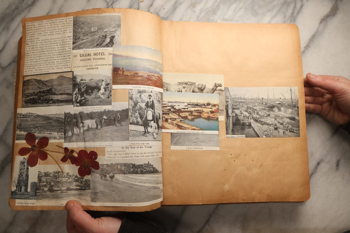 Lot 098 - Antique Scrapbook With Spain, Algeria, Greece, Syria, Italy, And Switzerland Travel Ephemera, Pressed Flowers And Botanical Specimens Throughout, Circa 1911